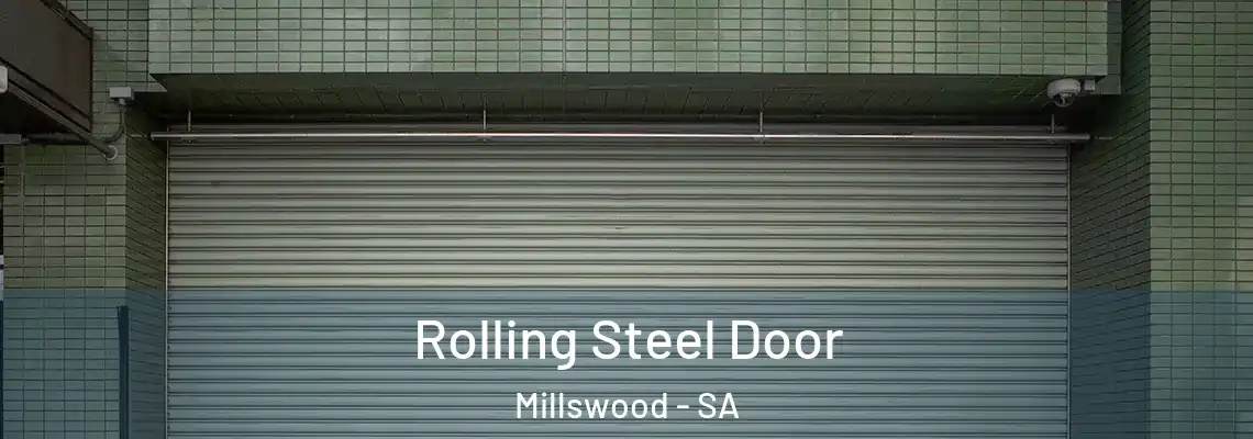 Rolling Steel Door Millswood - SA