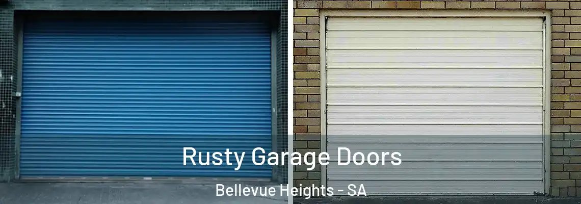  Rusty Garage Doors Bellevue Heights - SA