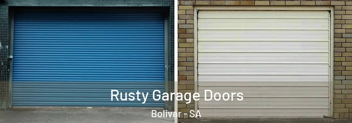 Rusty Garage Doors Bolivar - SA