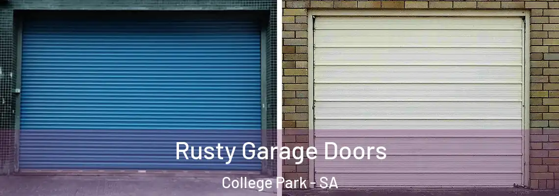  Rusty Garage Doors College Park - SA