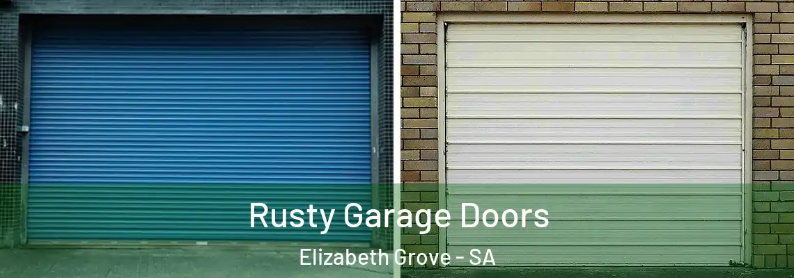 Rusty Garage Doors Elizabeth Grove - SA