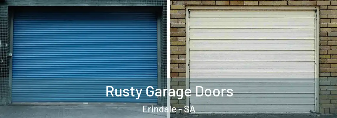  Rusty Garage Doors Erindale - SA
