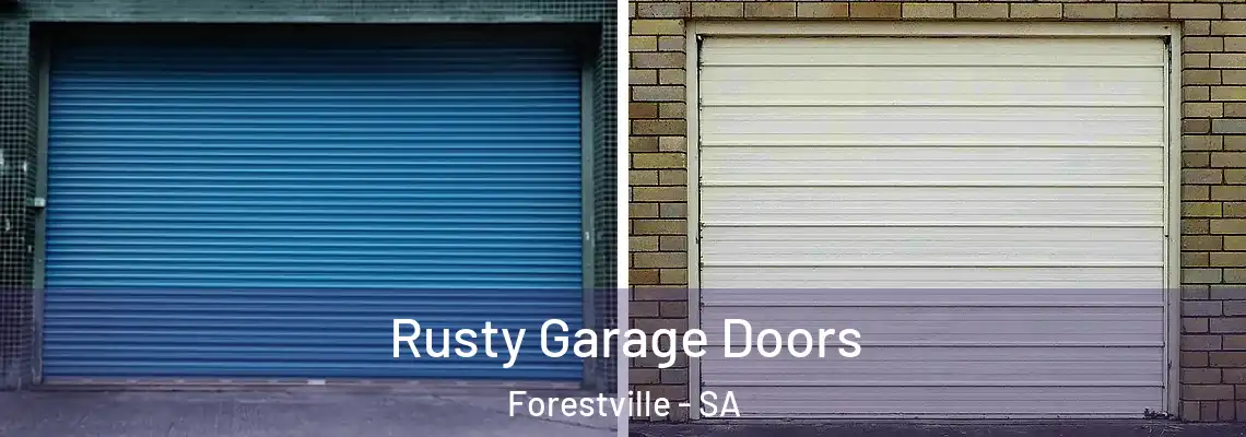  Rusty Garage Doors Forestville - SA