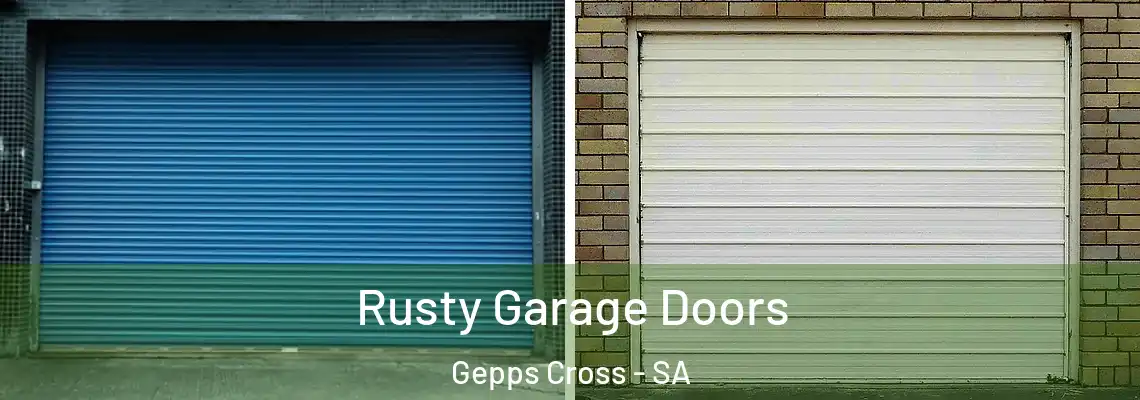  Rusty Garage Doors Gepps Cross - SA