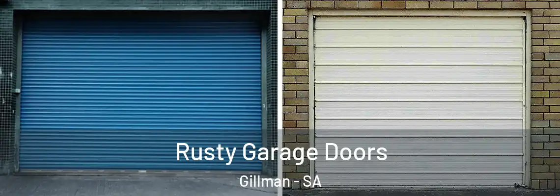 Rusty Garage Doors Gillman - SA