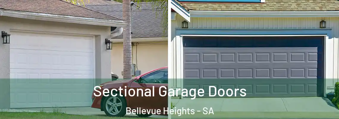  Sectional Garage Doors Bellevue Heights - SA