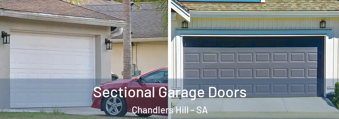 Sectional Garage Doors Chandlers Hill - SA