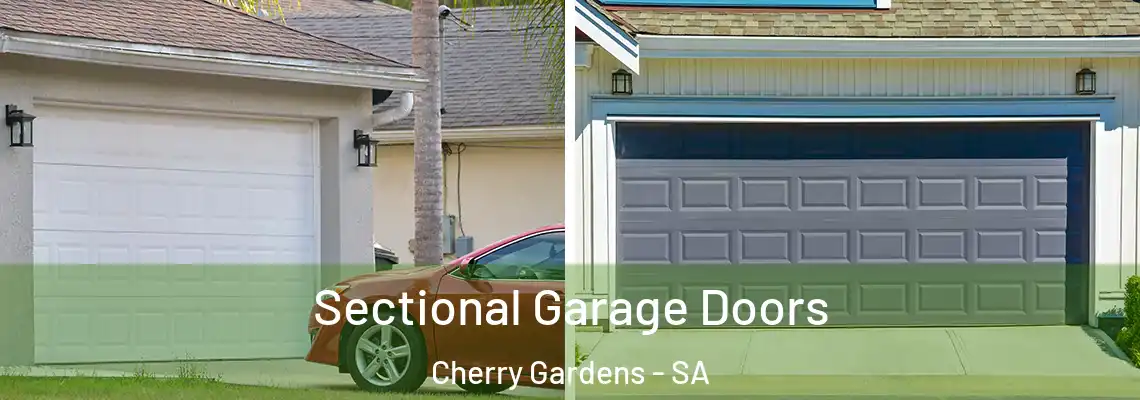 Sectional Garage Doors Cherry Gardens - SA
