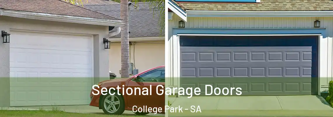  Sectional Garage Doors College Park - SA
