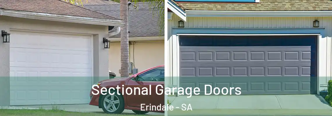 Sectional Garage Doors Erindale - SA