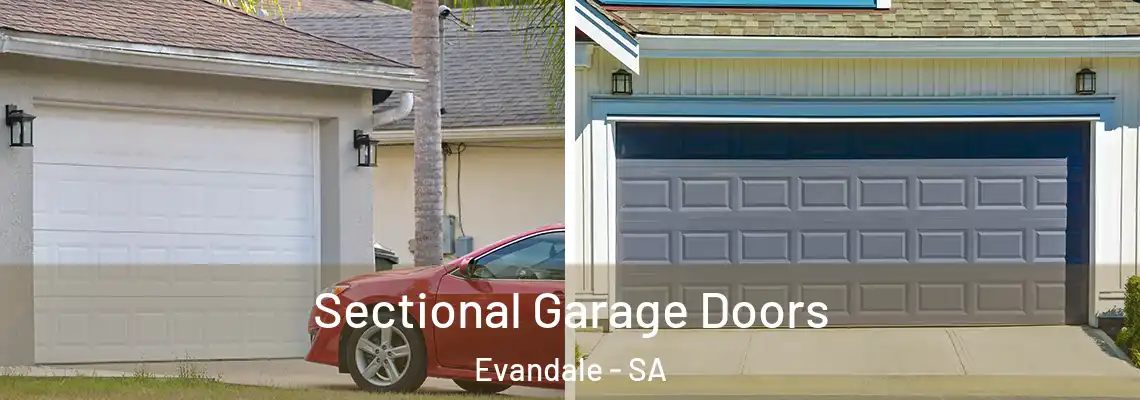  Sectional Garage Doors Evandale - SA