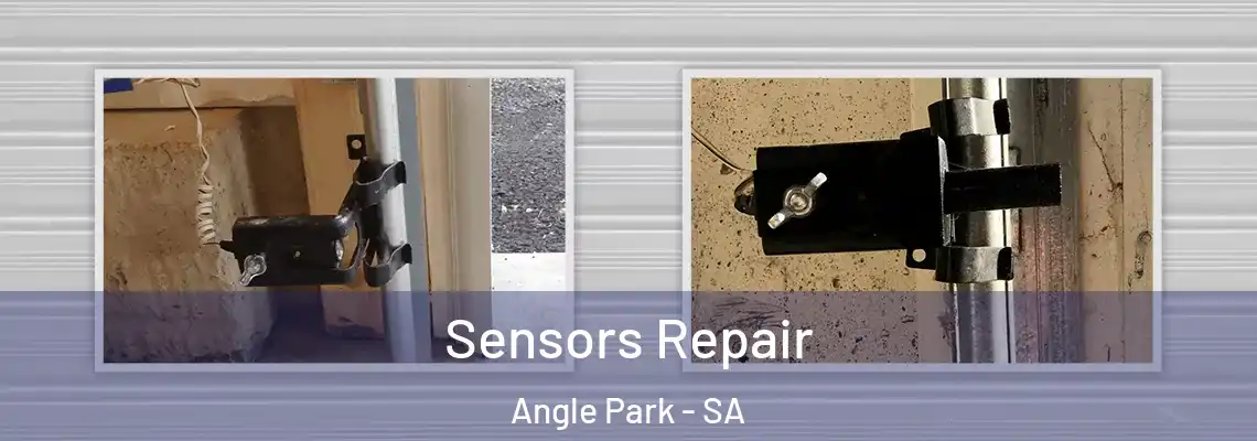 Sensors Repair Angle Park - SA