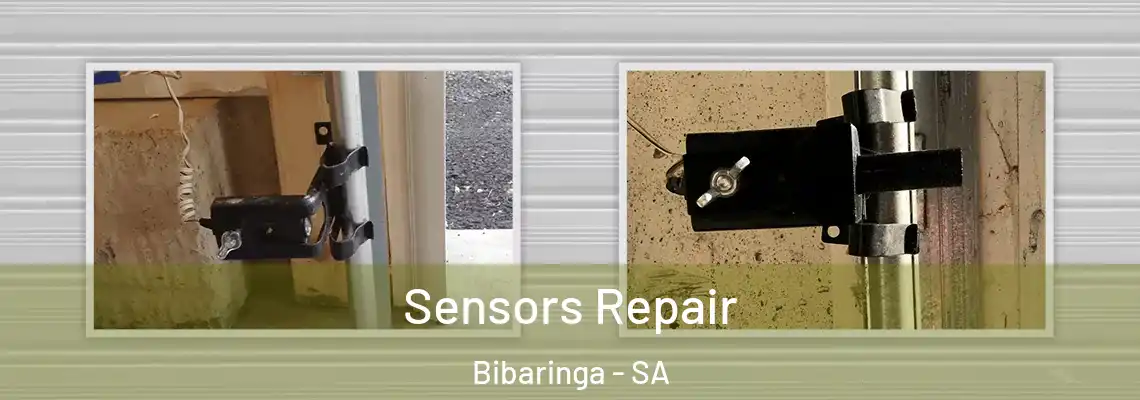  Sensors Repair Bibaringa - SA