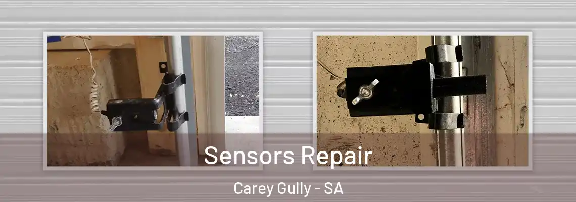 Sensors Repair Carey Gully - SA