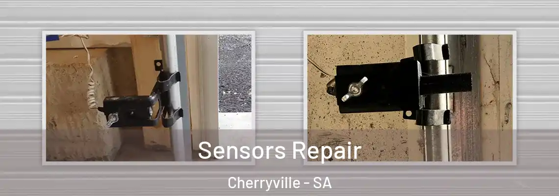 Sensors Repair Cherryville - SA