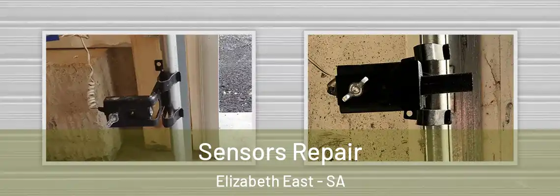  Sensors Repair Elizabeth East - SA