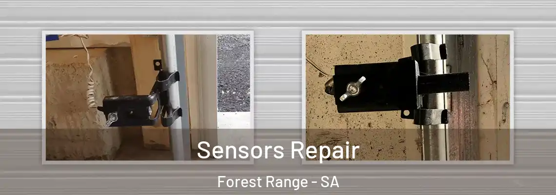 Sensors Repair Forest Range - SA