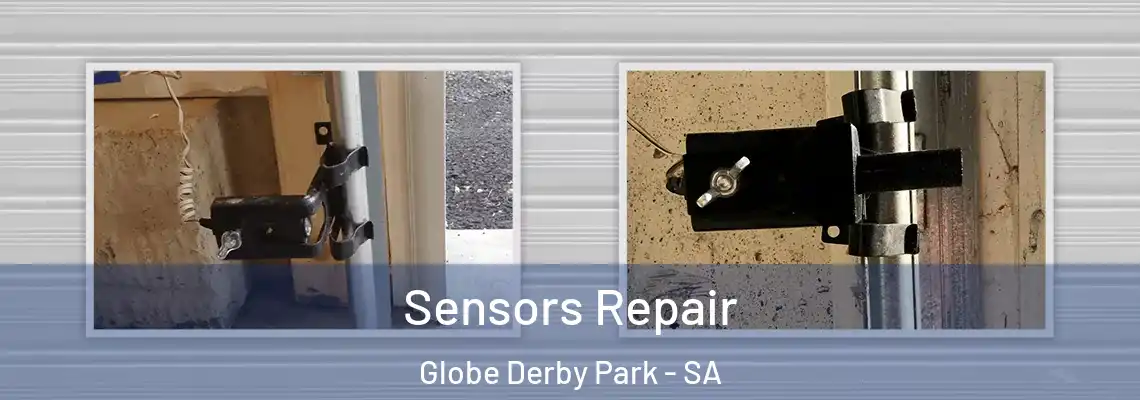  Sensors Repair Globe Derby Park - SA