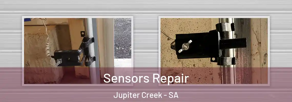  Sensors Repair Jupiter Creek - SA