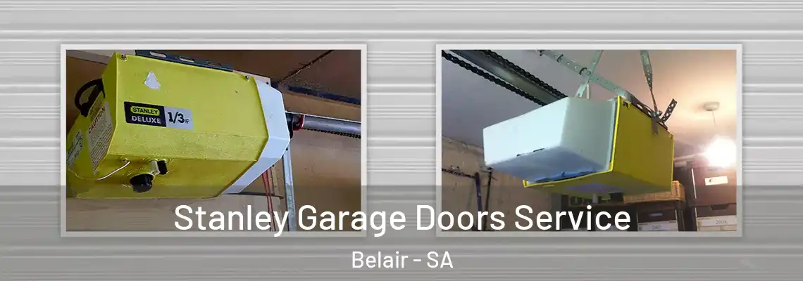 Stanley Garage Doors Service Belair - SA
