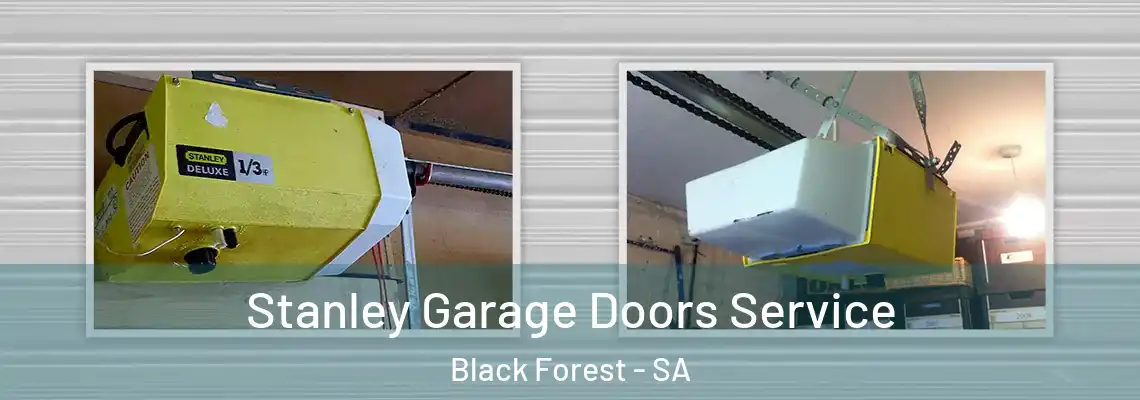 Stanley Garage Doors Service Black Forest - SA
