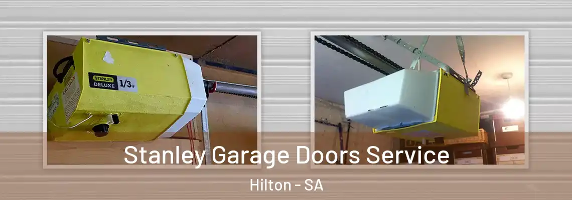 Stanley Garage Doors Service Hilton - SA